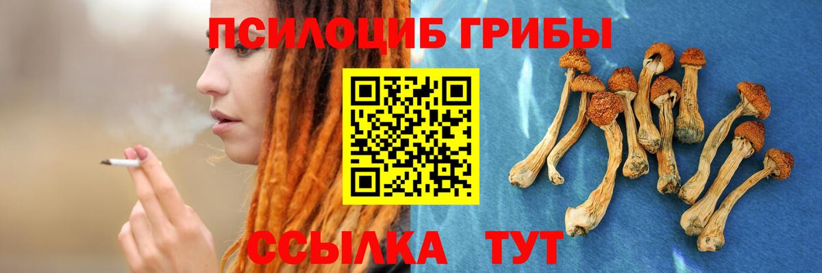 Ногинск  Галлюциногенные грибы GOLDEN TEACHER  Галлюциногенные грибы MAGIC MUSHROOMS  Вход с VPN 